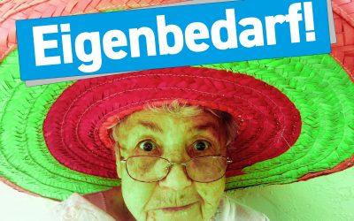 BGH: Hohes Alter einer 90-jährigen Mieterin schließt Eigenbedarf für Gelegenheitswohnung nicht aus